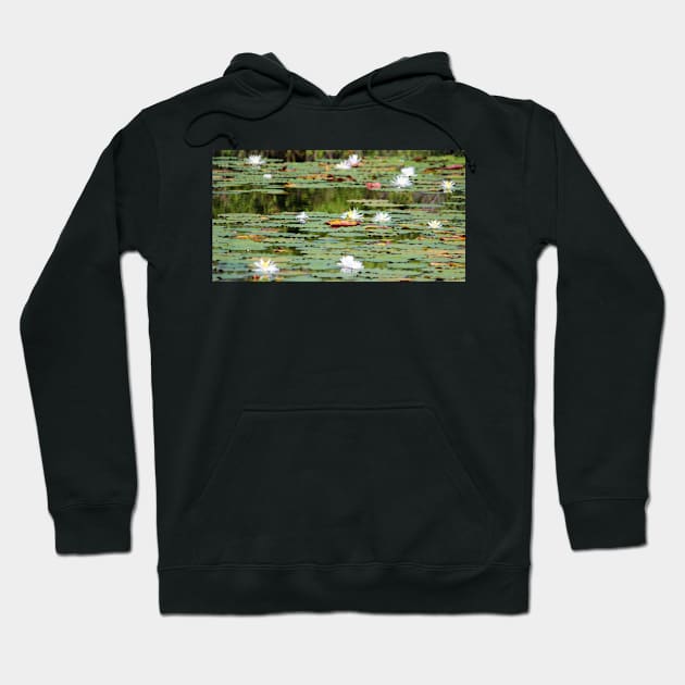 Waterlilies In The Morning Hoodie by Cynthia48